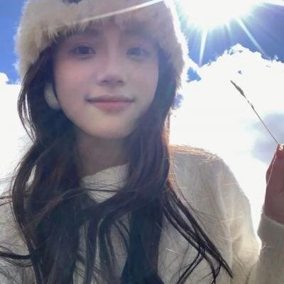 飞燕迎春
