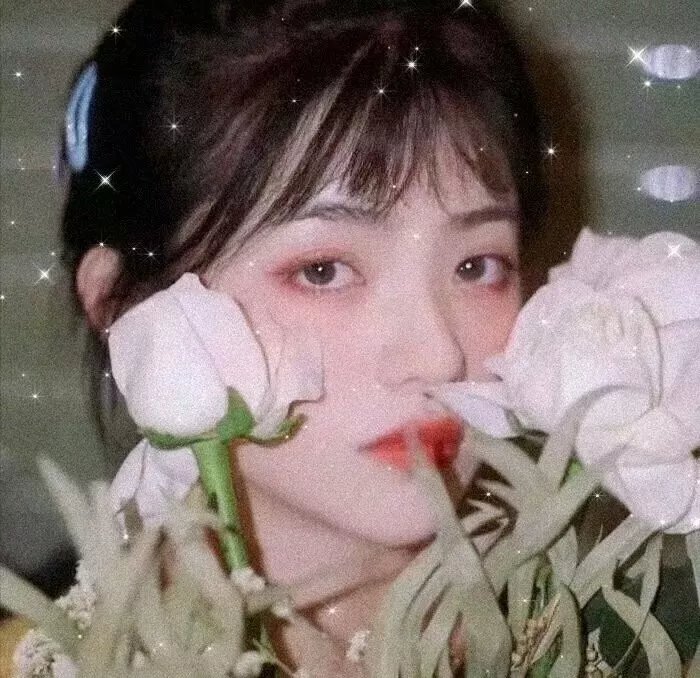 那夜的武士